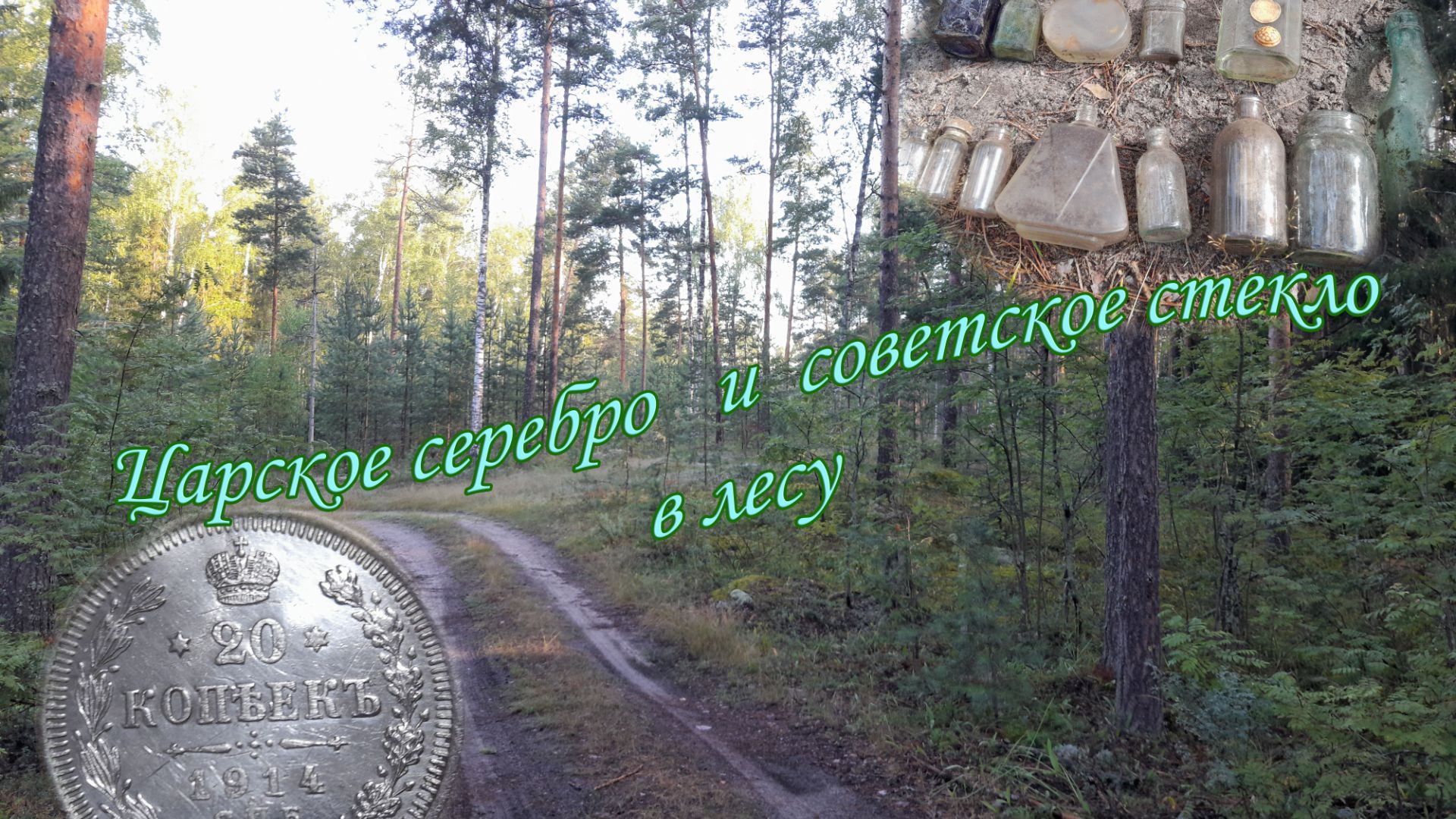 По лесу с металлоискателем (Марий Эл)