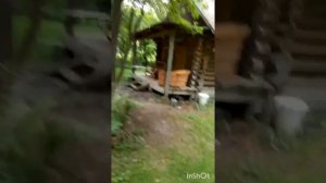 Алтай. Эко парк сад пионов