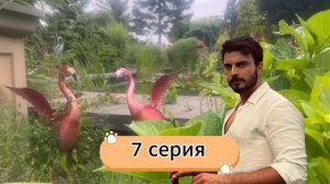 Струны души 7-8 серия русская озвучка (Турецкий сериал 2025) Can Bagi 7-8 bölüm ｜ Обзор. Дата выхода