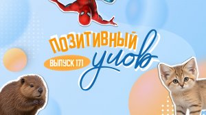 Барханные котята и Человек-паук. «Позитивный улов»