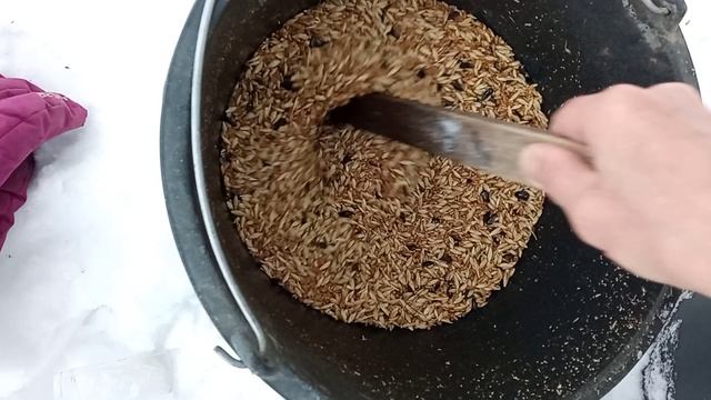 Дегельминтизация голубей Альбеном. Олег Костяков