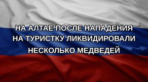 На Алтае после нападения на туристку ликвидировали несколько медведей