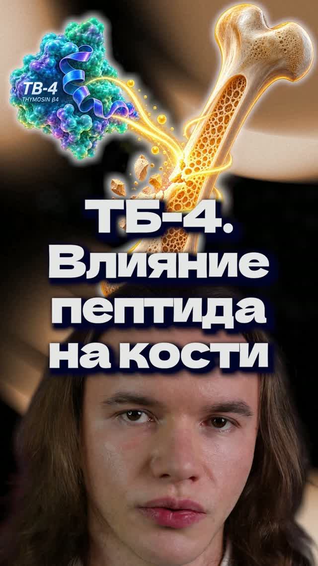 Пептид ТБ-4 (Тимозин Бета-4). Влияние на кости