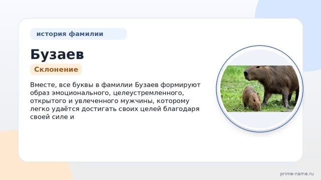 Фамилия Бузаев: происхождение, значение и склонение