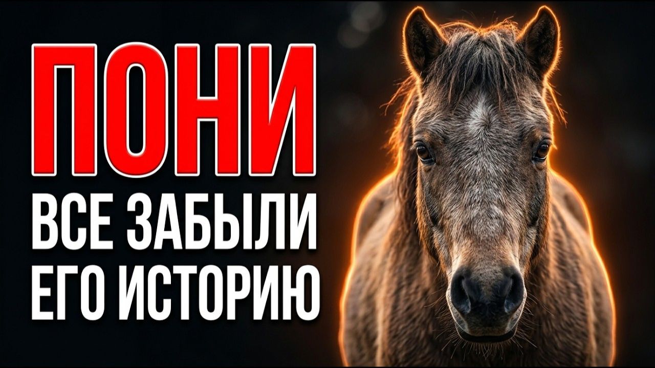 ПОНИ: люди сделали его игрушкой, забыв его страшную историю