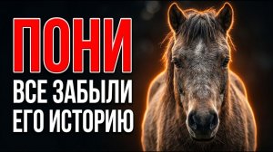 ПОНИ: люди сделали его игрушкой, забыв его страшную историю