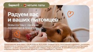 Эконом - Летний Спешл - 4 лапы -- seg 15 sec
