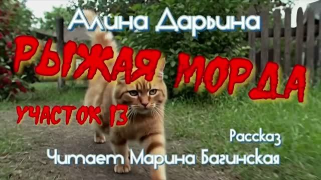 Алина Дарьина _Рыжая морда Участок № 13_ рассказ Читает Марина Багинская