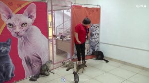 Выпуск новостей от 21.08 2026