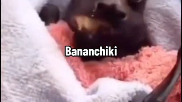 Бананчики.