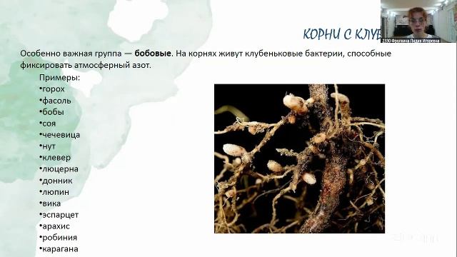 Красивая дача. 21.8 10:00
