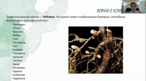 Красивая дача. 21.8 10:00
