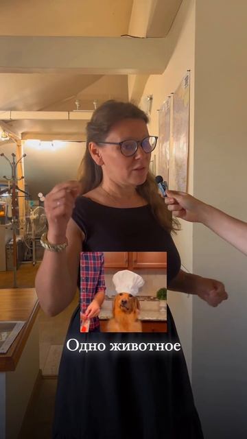 А можно с собачкой?