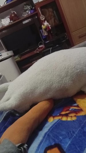 Игорь танцует за комент