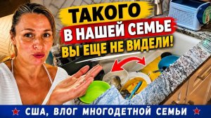 КАК ВЫЖИВАЮТ РУССКОЯЗЫЧНЫЕ НА ЗАГНИВАЮЩЕМ ЗАПАДЕ: Еще Один Замечательный  День Многодетной Мамы.