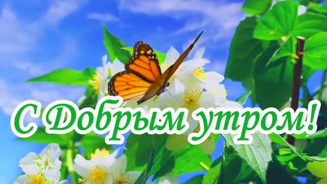 Доброе утро! Музыкальная открытка.