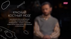 Пить или не пить? Как алкоголь и болезни изменили человечество. Дробышевский