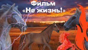 Фильм «Не жизнь!»//Horse step🌳⚪️🐾
