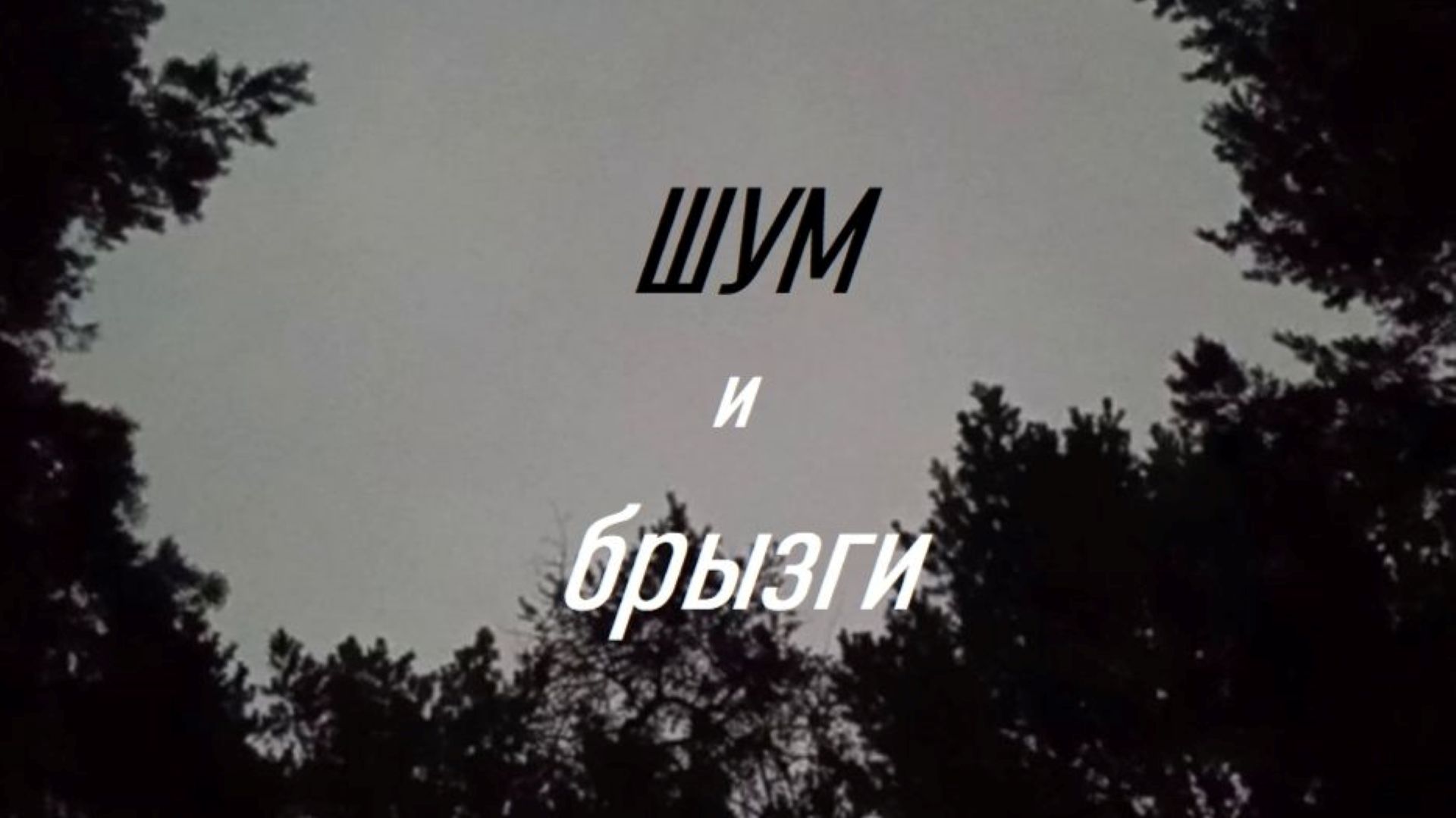 Сергей Знаменский - ШУМ И БРЫЗГИ 