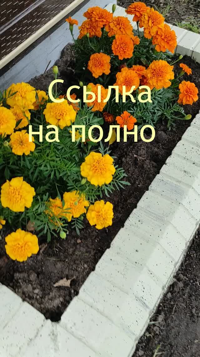 Как сделать аккуратную клумбу из бордюров, залитых из бетона, как вам?
