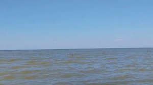 Ейск - у моря 🌊