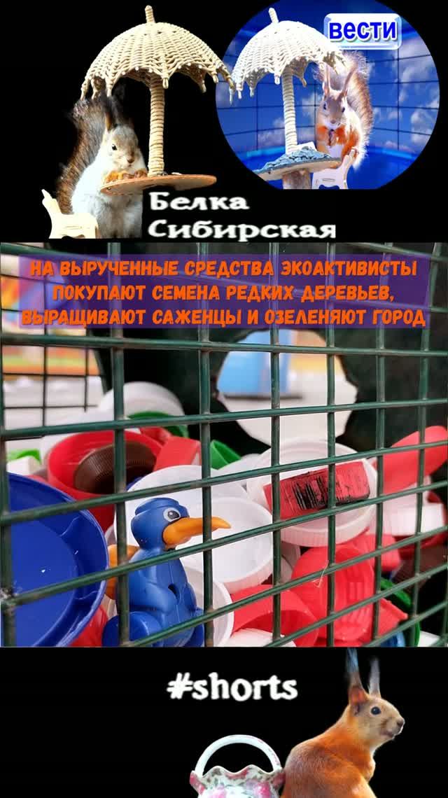 Ко дню экологического долга
