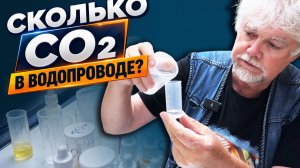 Сколько СО2 в водопроводе? | Аквариумные истории из ЭКЗОМЕНЮ №186