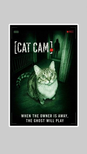Кошачья камера Cat Cam