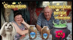 Сельчане Повседневная сказка для наивных Облепиха с ветками До слез