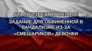 Стало известно первое задание для обвиненной в вандализме из-за «Смешариков» девочки