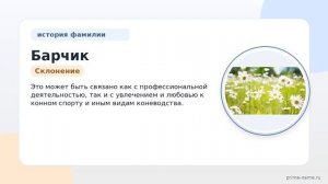 История фамилии Барчик: происхождение, значение и склонение в одной статье