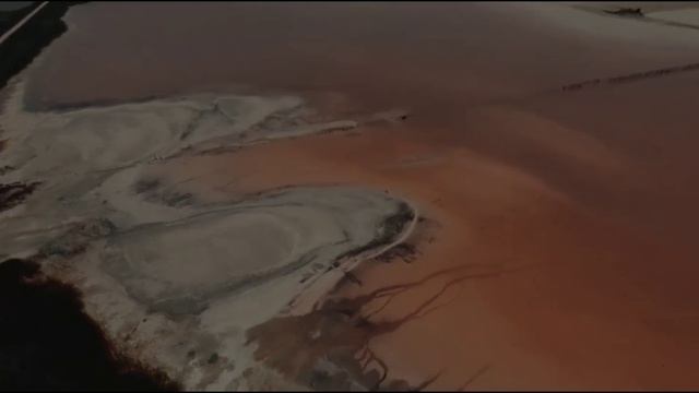 Digital 💿  Pulse.mp4