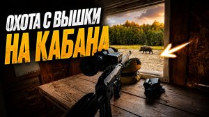 ЖДАЛ ЕГО ВЕСЬ ВЕЧЕР… КАБАН ПРИШЁЛ, НО ВСЁ ПОШЛО НЕ ТАК