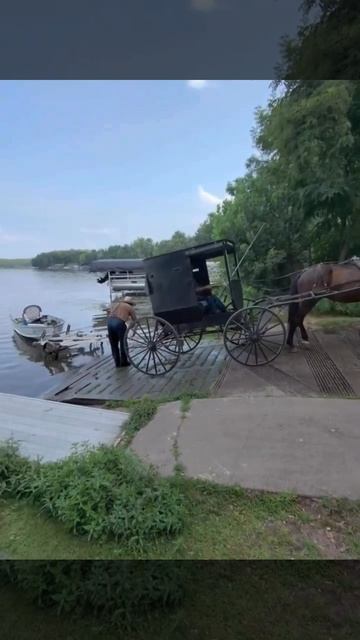 Очереди и Цены на бензин видели? Переходим на экологически чистые 1-лошадиные силы!