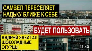 САМВЕЛ АДАМЯН,ОБЗОР ОТ СК,САМВЕЛ ПЕРЕСЕЛЯЕТ НАДЮ ДЛЯ СЕБЯ,АНДРЕЙ ЗАКАТАЛ ШОКОЛАДНЫЕ ОГУРЦЫ..