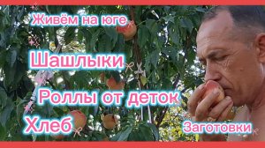 21-08-2026//Кубань//Наши дни с детками//Роллы/Шашлык/Заготовки/Кофешка ,,Ракушка,,//