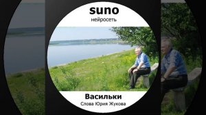 Васильки