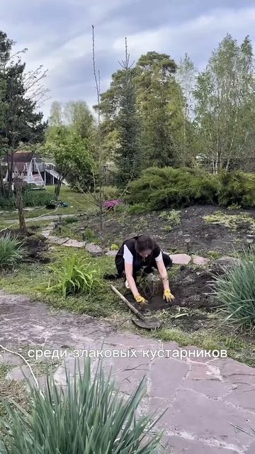 ЛАНДШАФТ СВОИМИ РУКАМИ