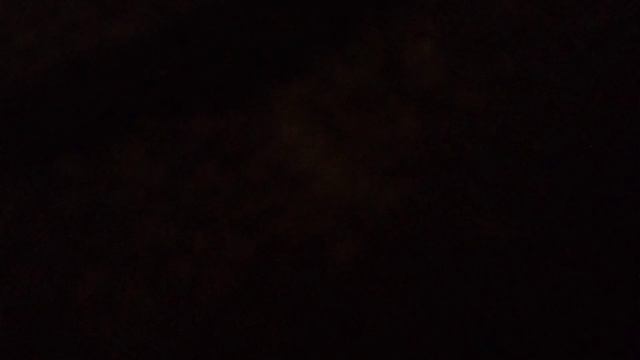 Моя кошка убежала от меня  часть 1