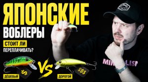 ПОЧЕМУ ОНИ ЛУЧШИЕ? ВСЯ ПРАВДА О ДЕШЕВЫХ И ДОРОГИХ ВОБЛЕРАХ