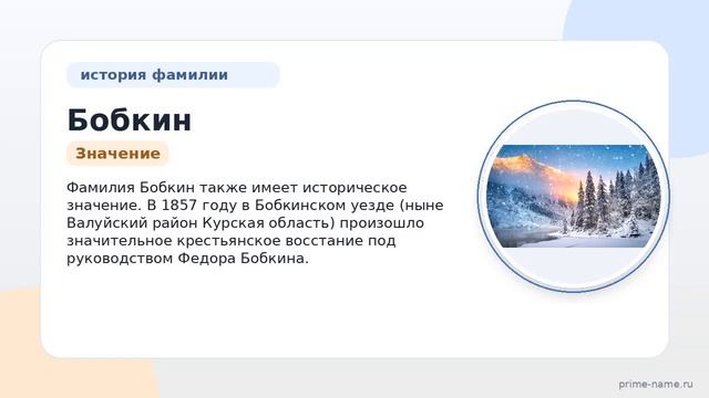 Фамилия Бобкин: происхождение, значение и склонение
