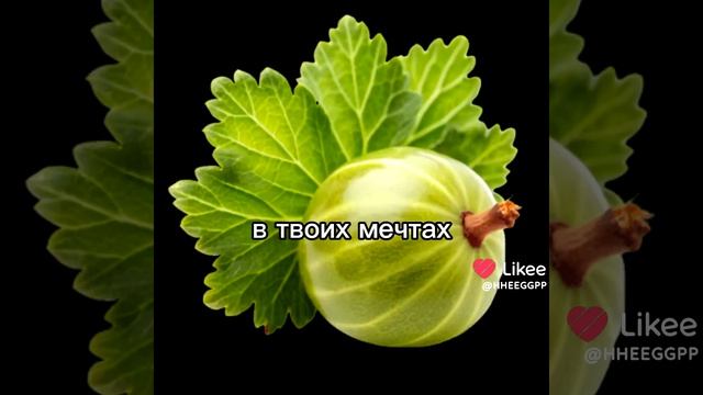 124.mp4