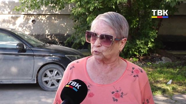 «Собак жалко, а нам страшно»: в Искитиме суд решит, можно ли держать животных в квартире
