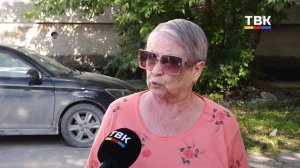 «Собак жалко, а нам страшно»: в Искитиме суд решит, можно ли держать животных в квартире