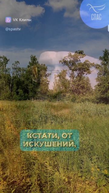 о правой и левой щеке