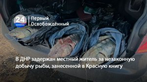 В ДНР задержан местный житель за незаконную добычу рыбы, занесенной в Красную книгу. 21.08.2026