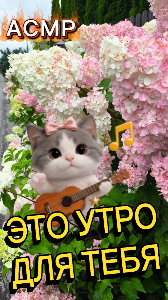 Это утро для тебя