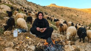 Жизнь девушки-кочевницы в горах Загрос 🐑 | Трудная жизнь кочевников