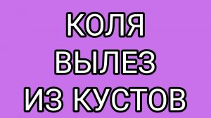 Публичный цирк ДРОВОСЕКА и ОЛАШКИ
