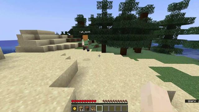 Minecraft_ 1.19.2 - Сетевая игра (локальная) 2026-08-21 16-55-43